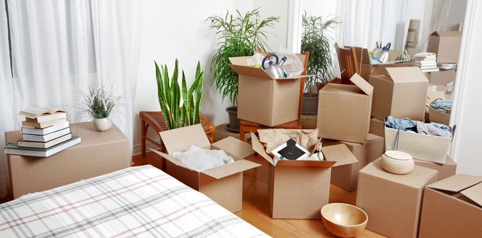 Move In Move Out Cleaning Services At Tampa. FL