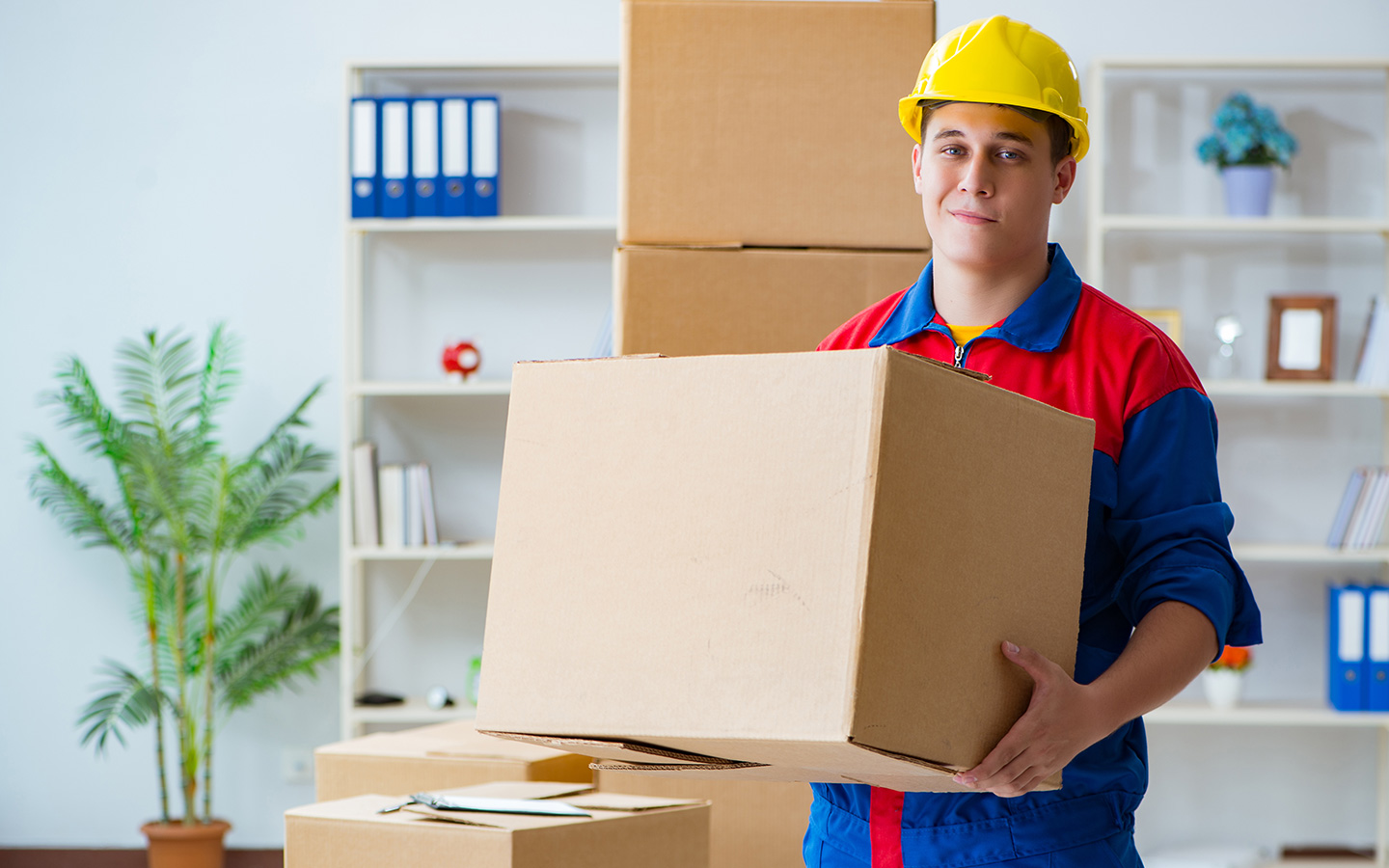 Move In Move Out Cleaning Servicesin Tampa. FL