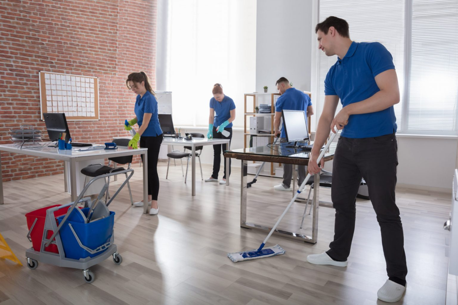 Office Cleaning Company in tempa,,FL